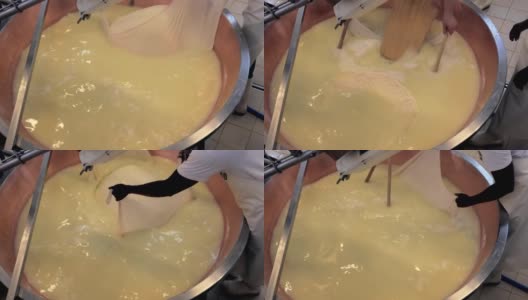 帕尔玛干酪的生产，从盐水中收获高清在线视频素材下载