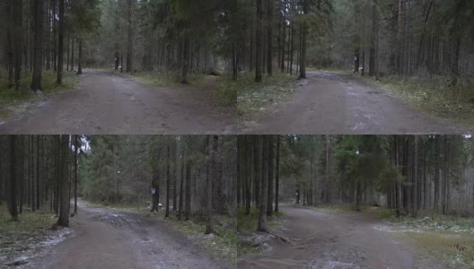 森林景观视频高清在线视频素材下载