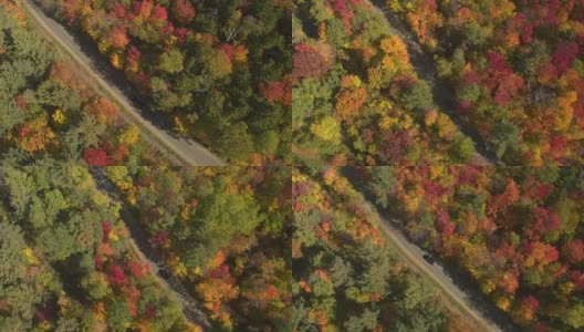 空中俯瞰:越野车行驶在美丽多彩的秋天森林的空旷道路上高清在线视频素材下载