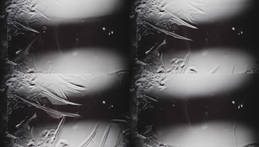 冰冻的叶片将水与图案联系在一起高清在线视频素材下载