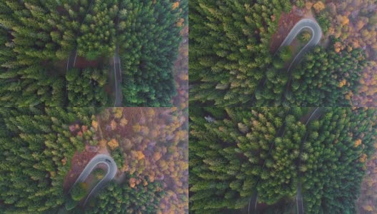 空中鸟瞰汽车行驶在农村秋天森林的发夹弯转弯道路上。秋橙、绿、黄的松林。雾街路径建立。4k无人机垂直飞行高清在线视频素材下载
