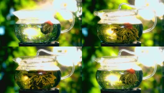户外茶壶里的花茶——时光流逝高清在线视频素材下载