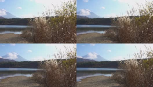 美丽的富士山与枫树在秋天的日本高清在线视频素材下载