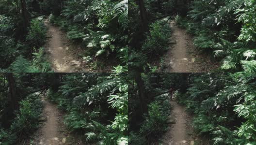 女自行车手在热带森林中越野自行车高清在线视频素材下载