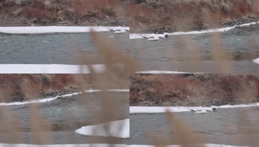 慢镜头盘在雪域科罗拉多荒野的河流上高清在线视频素材下载