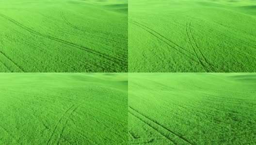 从长满青草或小麦的绿色农田飞起来高清在线视频素材下载