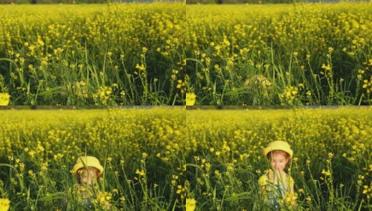 一个戴着黄色帽子的女孩藏在高高的草丛里，在夏天盛开的田野里，她跳出来看着太阳。夏天，日落，节假日，防晒霜，过敏，驱蚊。高清在线视频素材下载