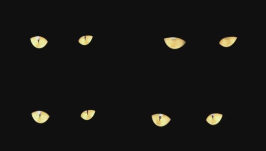 两只黄色的猫眼睛在黑色的背景上特写。万圣节背景黄色的猫眼在黑色的黑暗中高清在线视频素材下载