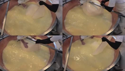制作帕尔马干酪，成形高清在线视频素材下载