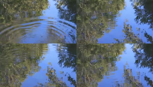 树叶在水面上的倒影高清在线视频素材下载