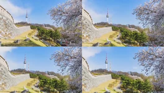 韩国首尔的春天樱花盛开高清在线视频素材下载
