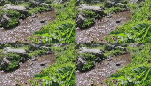 溪水顺流而下高清在线视频素材下载