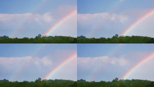 雨林上空的彩虹高清在线视频素材下载