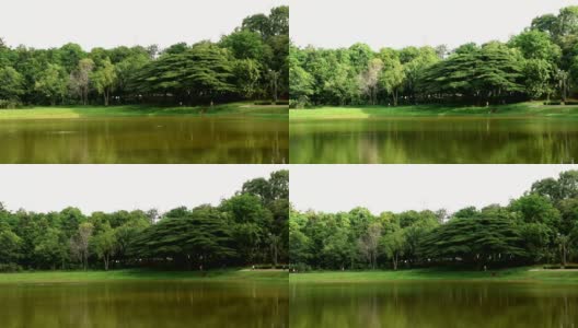 美丽的绿树阴影在河上高清在线视频素材下载