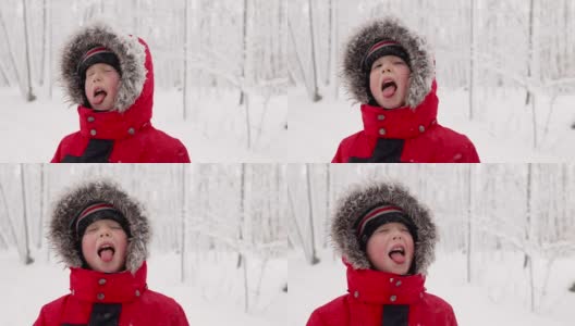 冬天的森林里用舌头捕捉雪花的小男孩高清在线视频素材下载