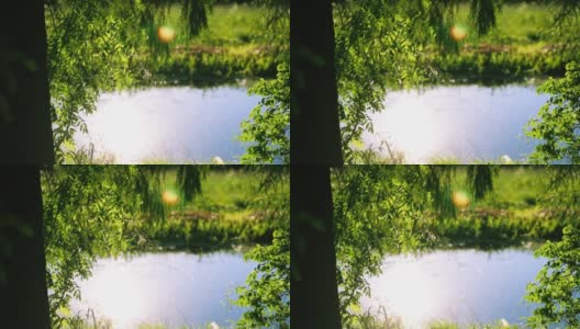 蓝色的小池塘，绿树绿草环绕。夕阳倒映在水面上高清在线视频素材下载