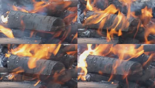 燃烧的木头在最近燃起的火里。为烤架燃烧木材。高清在线视频素材下载