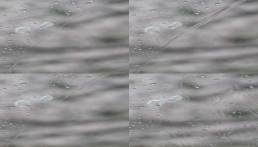 垂直4K视频雨滴和樱花花瓣在一个雨天通过玻璃拍摄高清在线视频素材下载