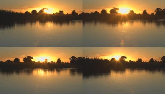 非洲河上的日落。高清在线视频素材下载