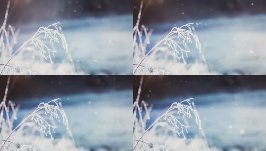 大风的雪景高清在线视频素材下载