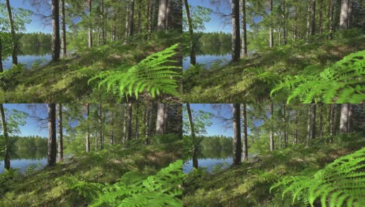 朵莉:森林高清在线视频素材下载
