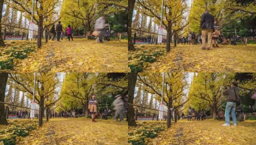时光流逝:日本东京青山明治神宫花园拥挤的行人高清在线视频素材下载