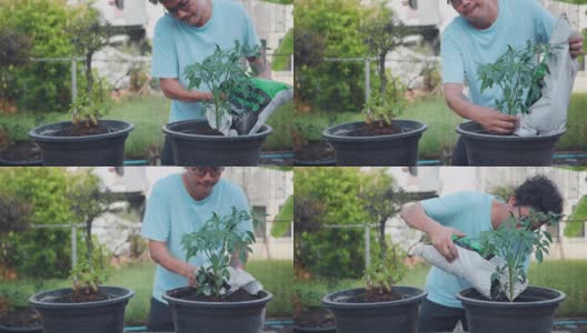 亚洲男人种植他们的树油腻的花盆，添加土壤，施肥。高清在线视频素材下载