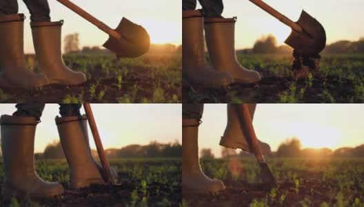 特写农民、挖土工人的脚高清在线视频素材下载