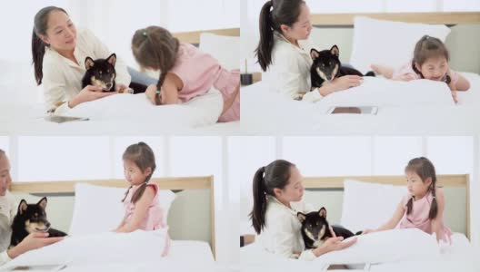 妈妈和宝宝在床上用着平板电脑，旁边是一只黑色的柴犬。柴犬是日本的国犬。高清在线视频素材下载