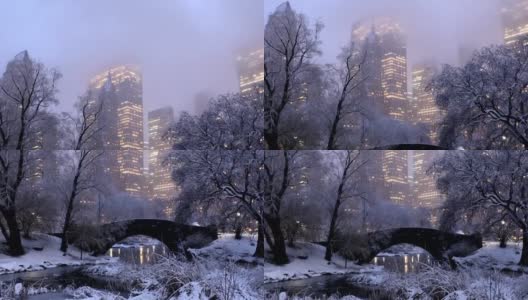 中央公园冬夜高清在线视频素材下载