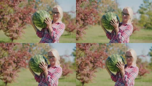 秋高气爽，收获多多。一个农妇正拿着一个又大又重的西瓜高清在线视频素材下载