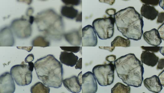 显微镜下的河沙颗粒高清在线视频素材下载