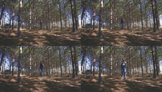 一个成年人背着双肩包在阳光明媚的早春的杉树林中徒步旅行高清在线视频素材下载