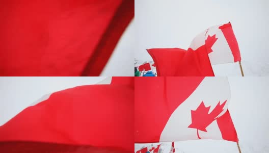 加拿大国旗迎风飘扬。高清在线视频素材下载