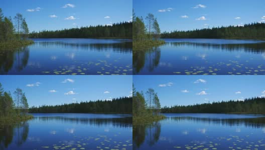 北方自然湖上的百合和反射蓝天白云4K高清在线视频素材下载