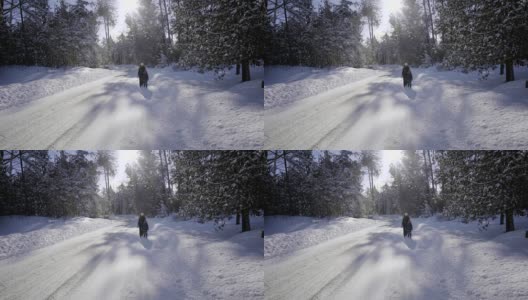 母亲和孩子步行的道路森林树冬天在加拿大安大略省雪高清在线视频素材下载