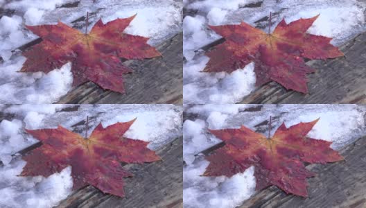 秋天，木凳上的枫叶和融化的雪高清在线视频素材下载