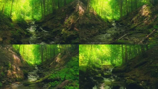 森林瀑布自然太阳魔法树石水之旅高清在线视频素材下载