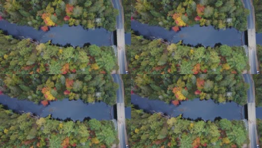 秋天的桥穿过河流在安大略，加拿大高清在线视频素材下载