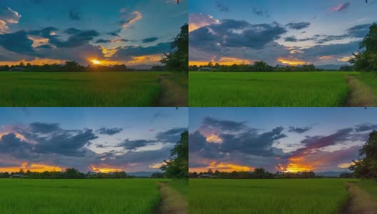 稻田和日落，4K时间流逝。高清在线视频素材下载