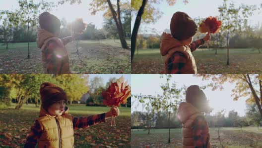秋天。小男孩看枫叶。快乐的童年。秋天的时间。小男孩拿着枫叶。高清在线视频素材下载