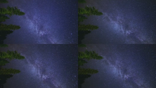 在森林树木上方旋转的银河星群流星雨(延时)高清在线视频素材下载