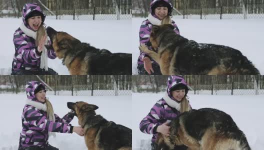 一个穿着冬季夹克的年轻女子在雪地里和一只德国牧羊犬玩耍。高清在线视频素材下载