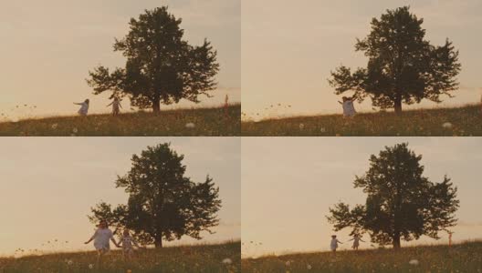 穿着裙子的女孩们在田园诗般的夏日草地上朝着树奔跑，实时播放高清在线视频素材下载