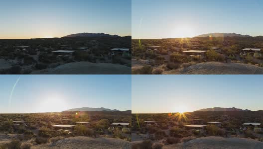 加州约书亚树国家公园的沙漠日出高清在线视频素材下载