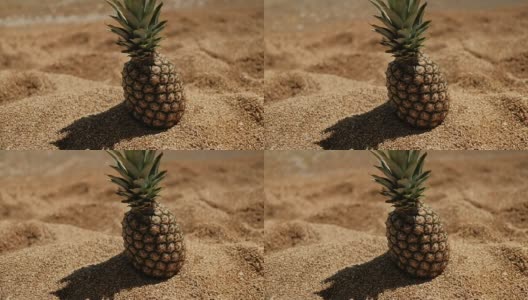 在阳光明媚的日子里，美丽的菠萝在沙滩上高清在线视频素材下载