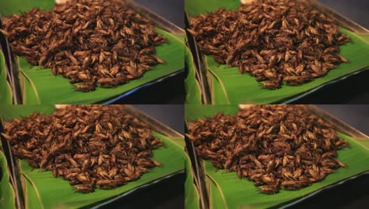 可食用的烤香粉虫，泰国街头小吃炸虫子高清在线视频素材下载