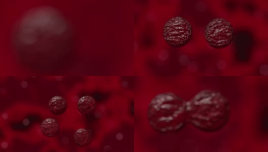 细胞增殖细菌病毒血液显微镜下4K高清在线视频素材下载