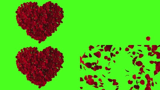红色的玫瑰花瓣心与旋涡在色度键上飞行，绿色的屏幕背景高清在线视频素材下载