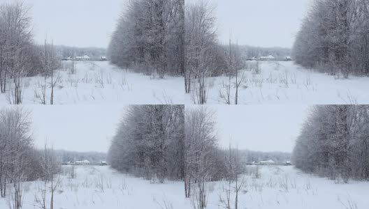 树林里的房子。落叶林在雪地里。高清在线视频素材下载